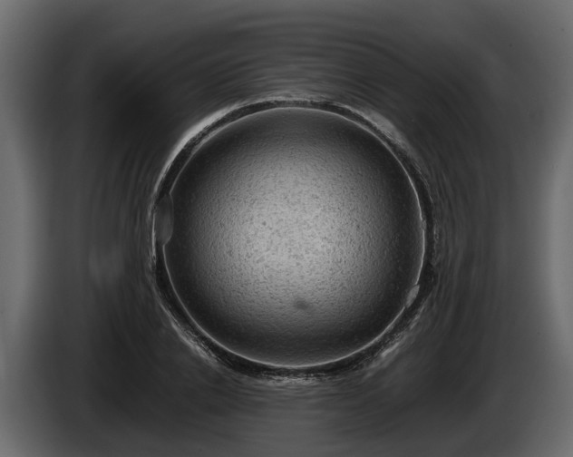 X0000085740838200703231108