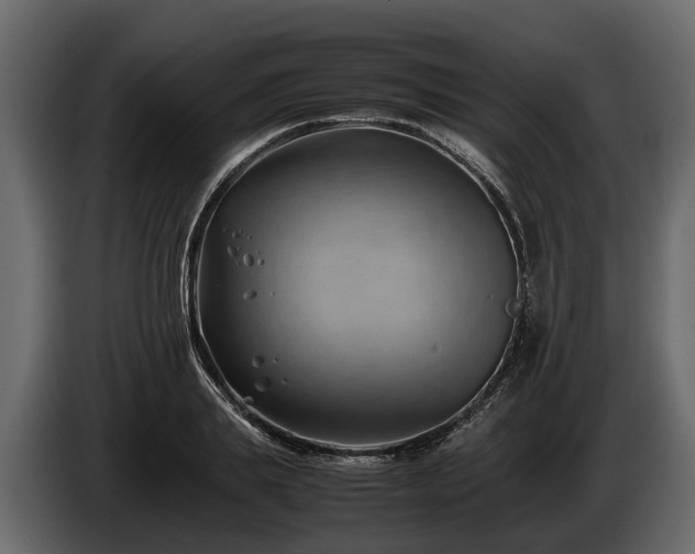 X0000085740839200703231108