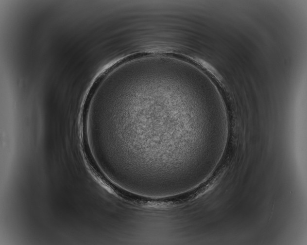 X0000085740840200703231108