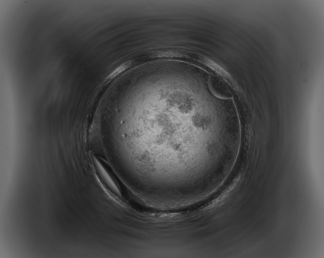 X0000085740841200703231108