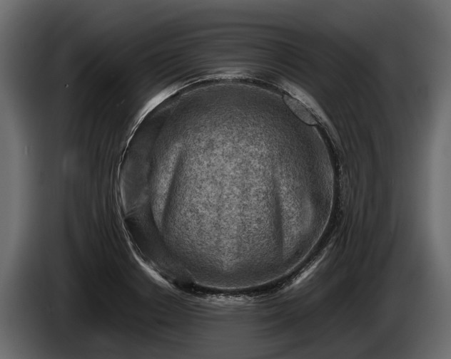 X0000085740842200703231108