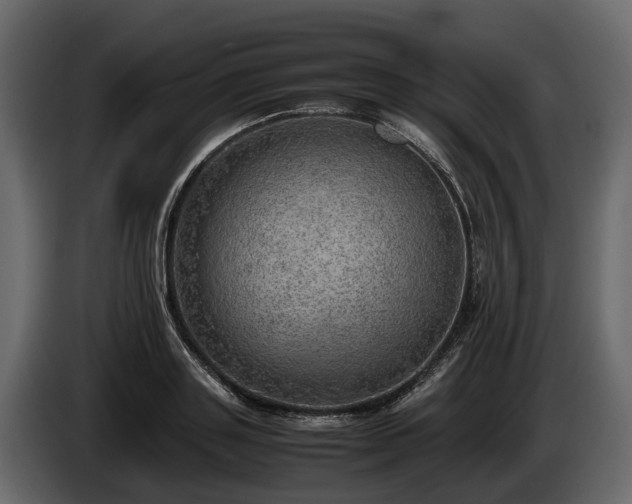 X0000085740843200703231108