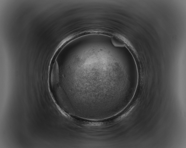 X0000085740845200703231108