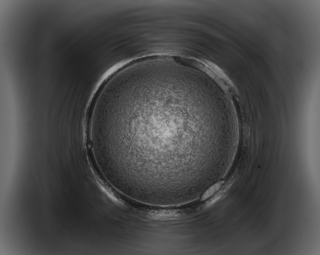 X0000085740846200703231108
