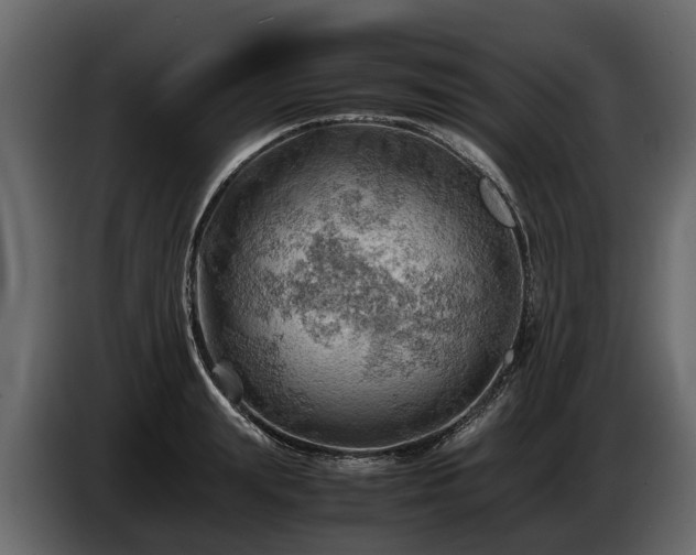 X0000085740847200703231108