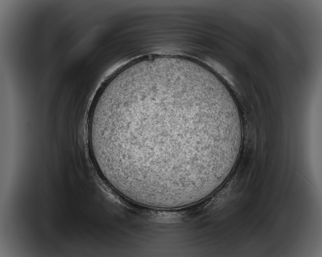 X0000085740848200703231108
