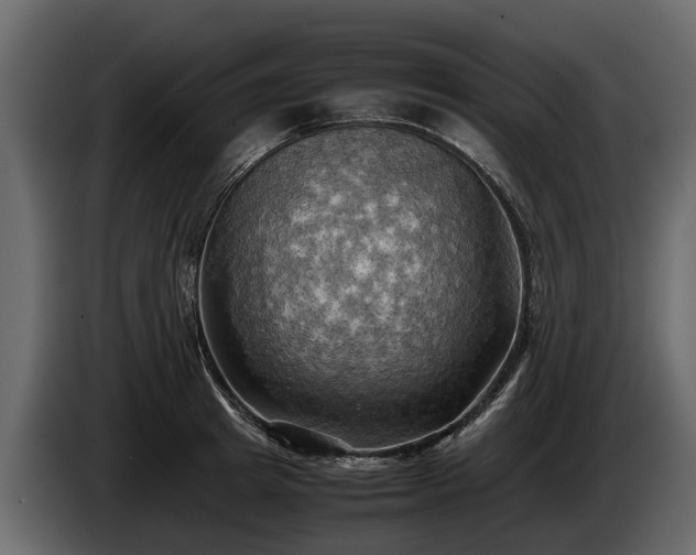 X0000085740849200703231108