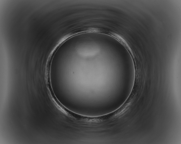 X0000085740851200703231108