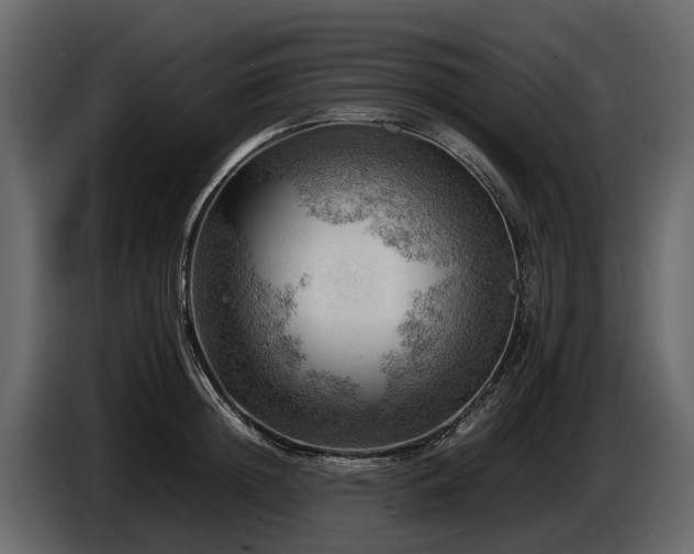 X0000085740852200703231108