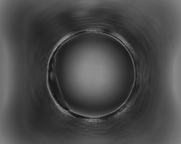 X0000085740853200703231108