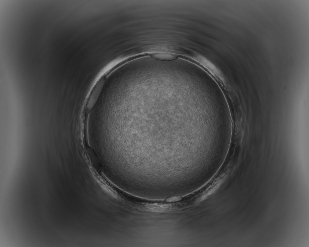 X0000085740854200703231108