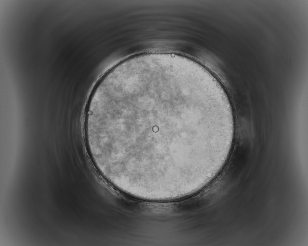 X0000085740856200703231108