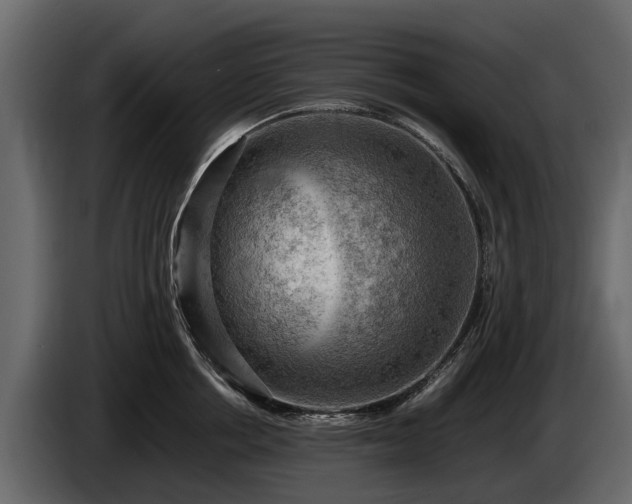 X0000085740858200703231108