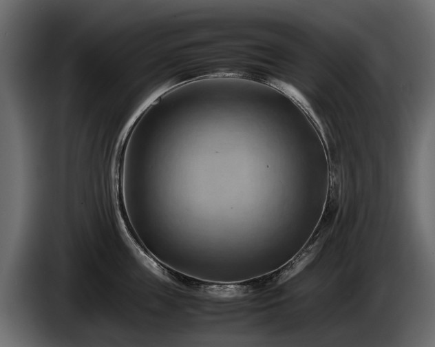X0000085740859200703231108