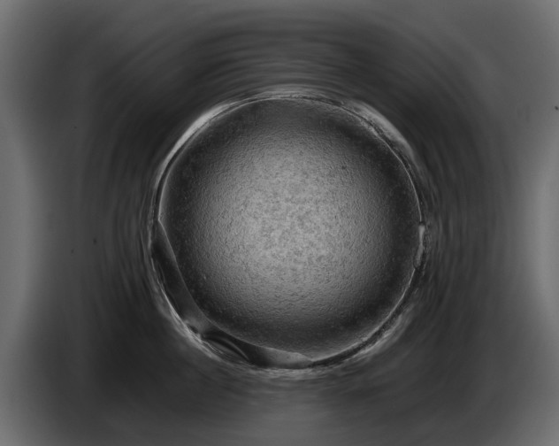 X0000085740860200703231108
