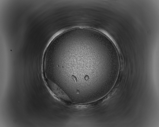 X0000085740861200703231108