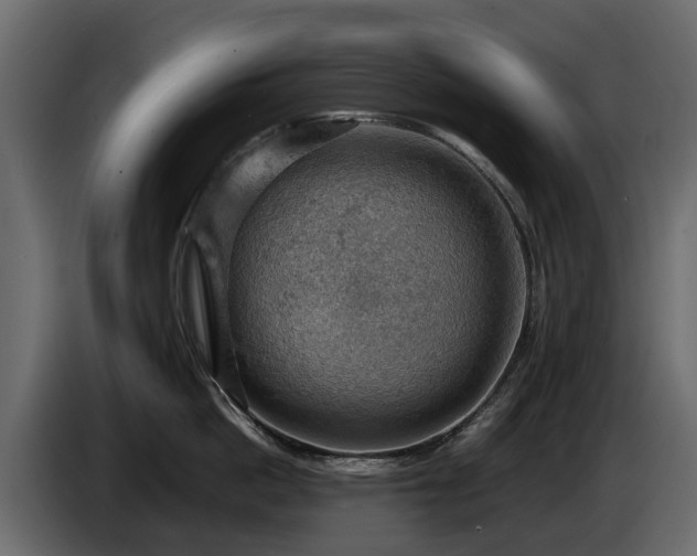 X0000085740862200703231108