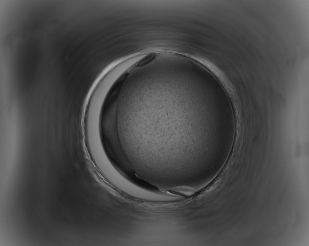 X0000085740864200703231108