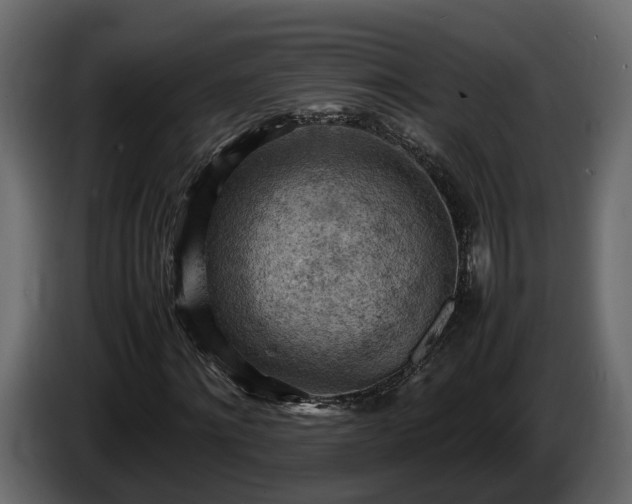 X0000085740868200703231108