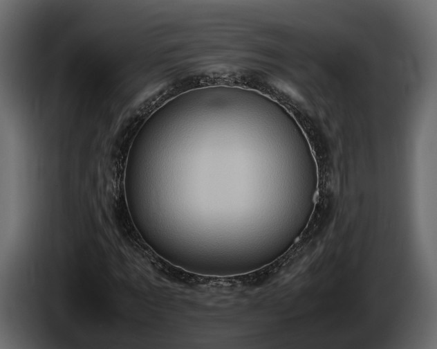 X0000085740869200703231108