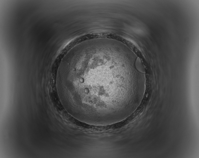 X0000085740871200703231108