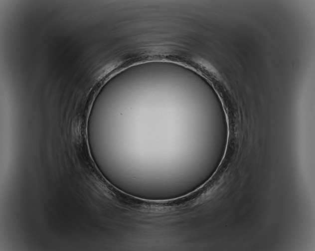 X0000085740873200703231108
