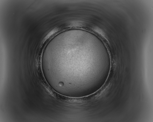 X0000085740874200703231108