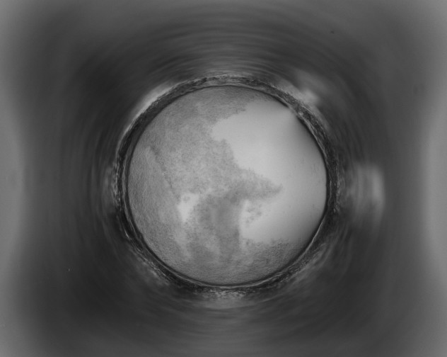 X0000085740878200703231108