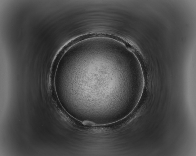 X0000085740880200703231108