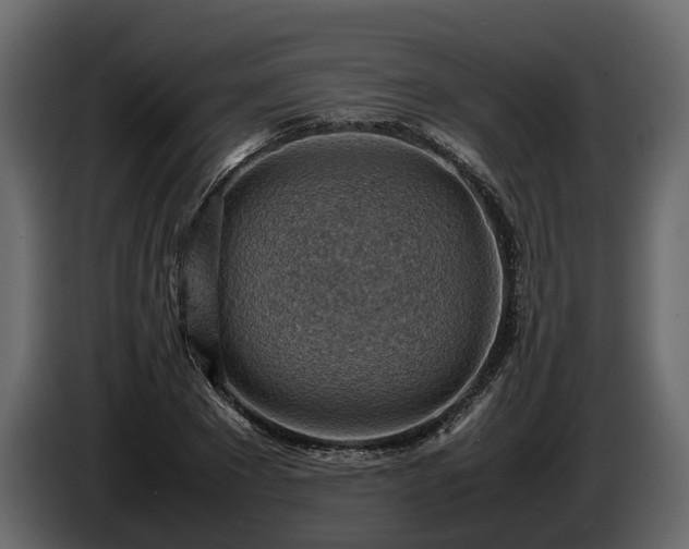 X0000085740881200703231108