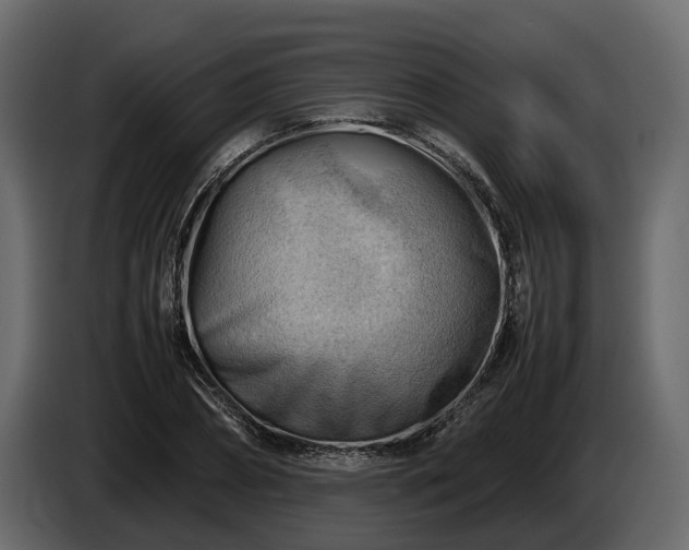 X0000085740882200703231108