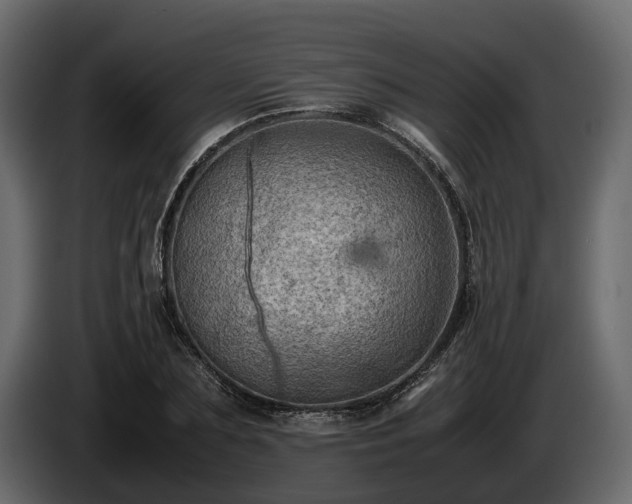 X0000085740883200703231108