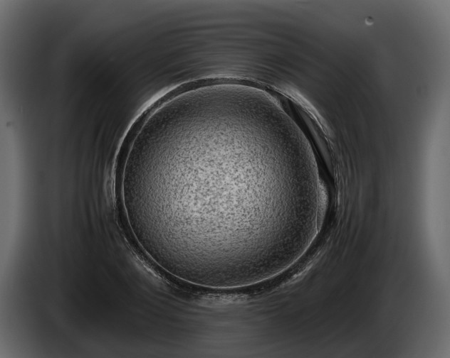 X0000085740884200703231108