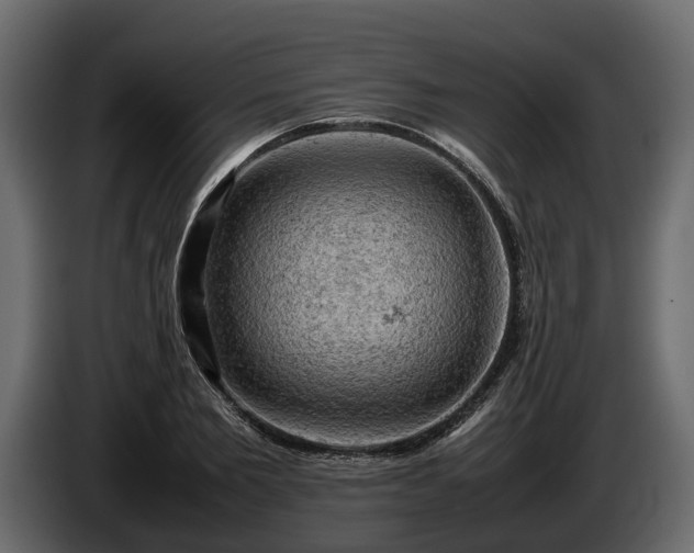 X0000085740885200703231108