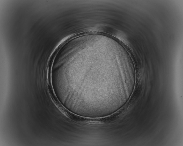 X0000085740886200703231108