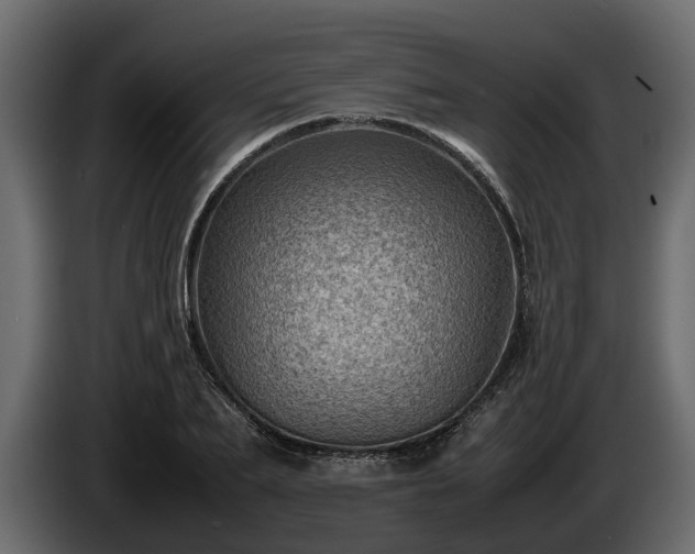 X0000085740887200703231108