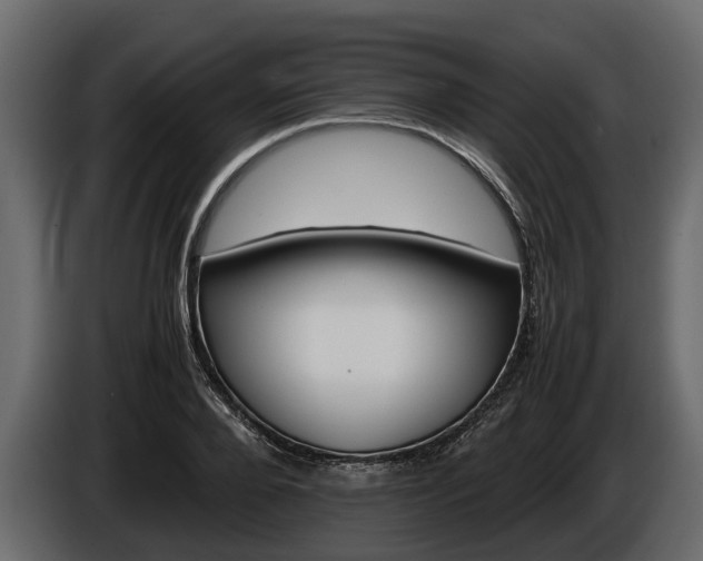 X0000085740888200703231107