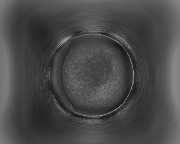X0000085740889200703231107