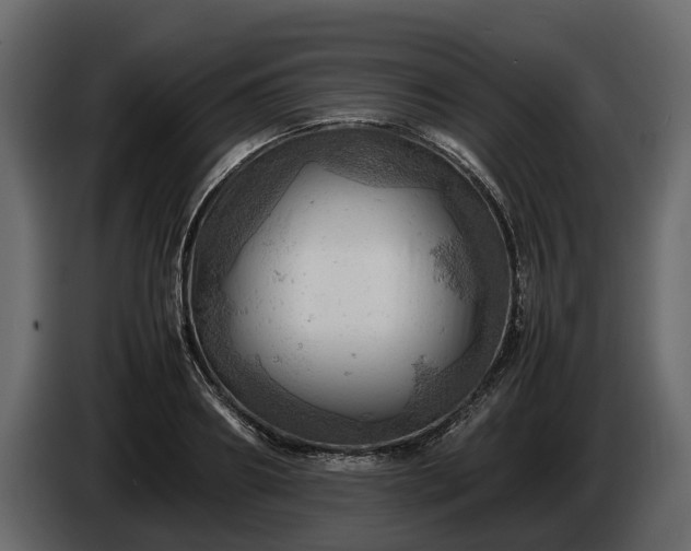 X0000085740890200703231107