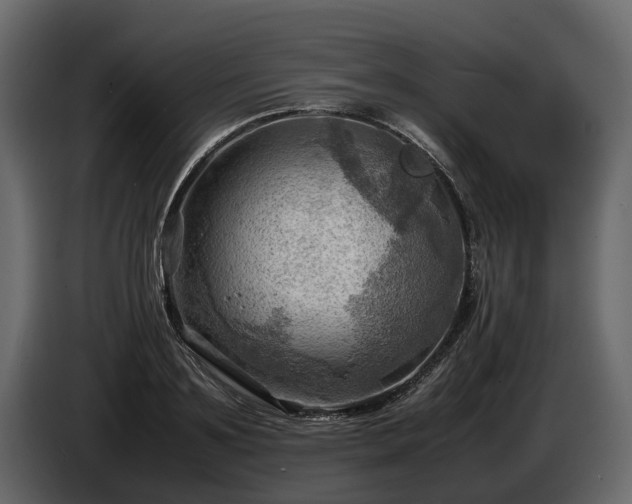 X0000085740891200703231107