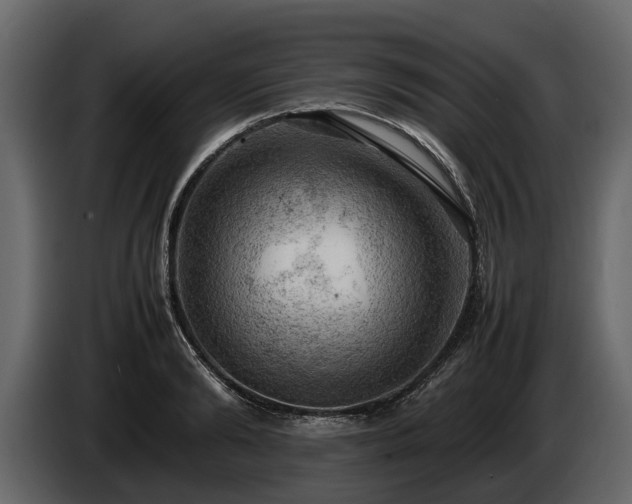 X0000085740894200703231107