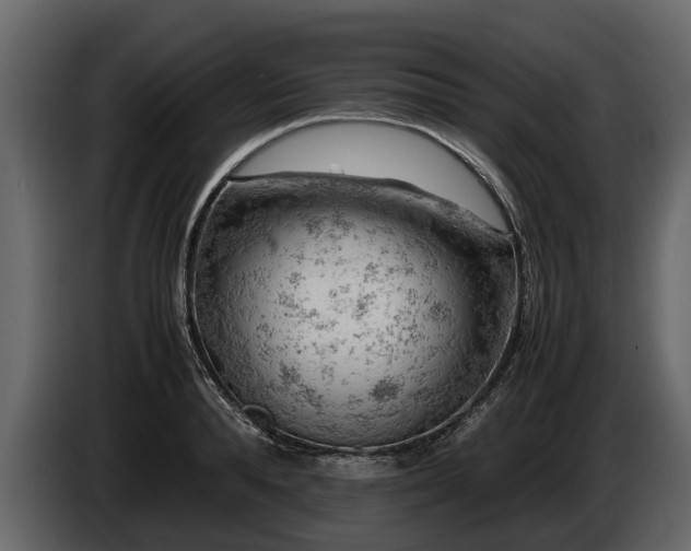 X0000085740896200703231107