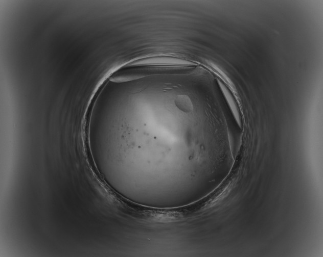 X0000085740899200703231107