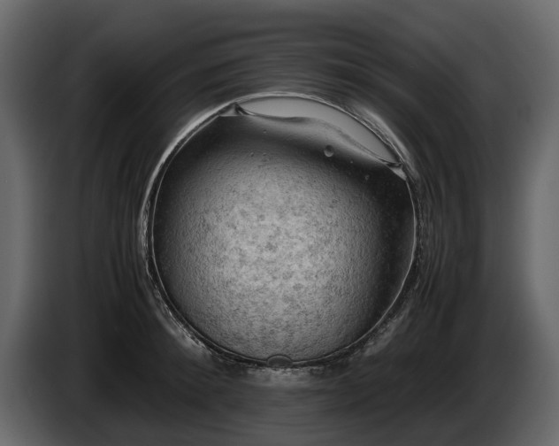 X0000085740900200703231107