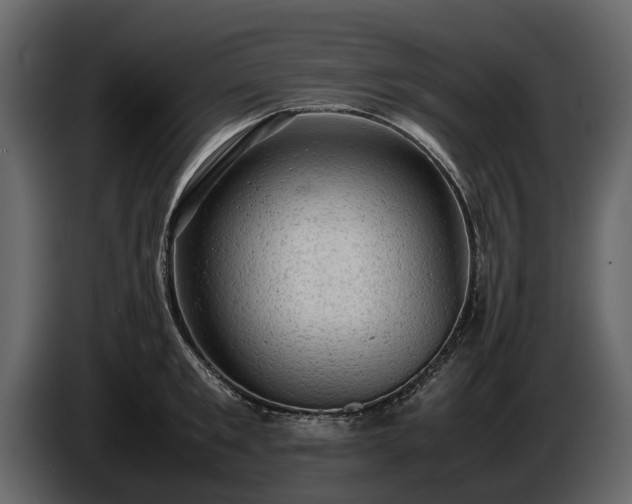 X0000085740901200703231107