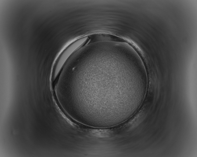 X0000085740902200703231107