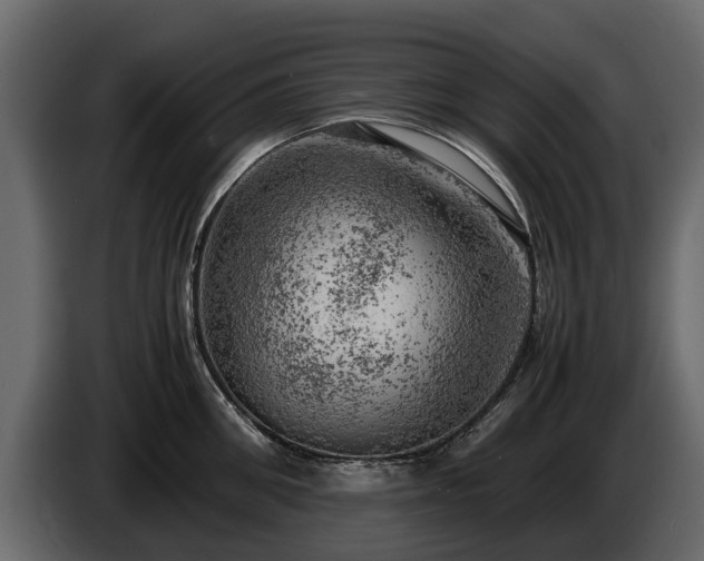 X0000085740906200703231107