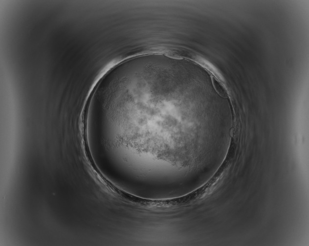 X0000085740907200703231107