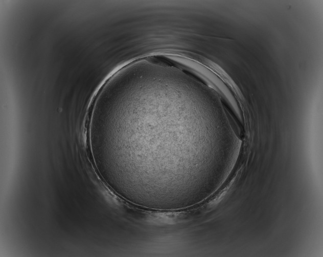 X0000085740908200703231107