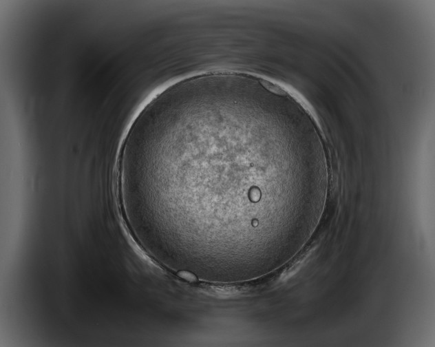 X0000085740911200703231107